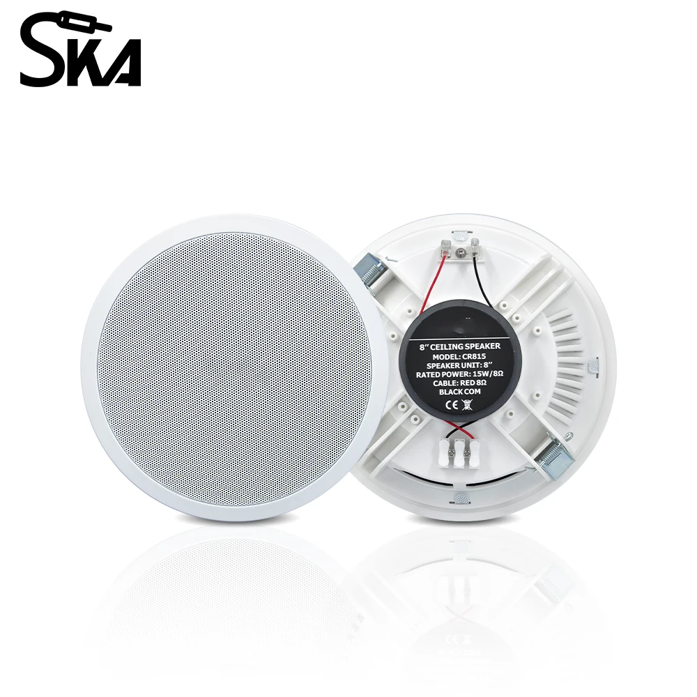 PW4420T+CR815 Smart Home Audio – Audio Music Background Free Bewertung und Preis