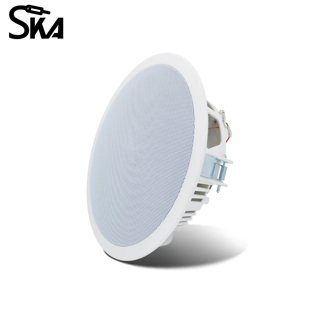 PW4420T+CR815 Smart Home Audio – Audio Music Background Free Bewertung und Preis
