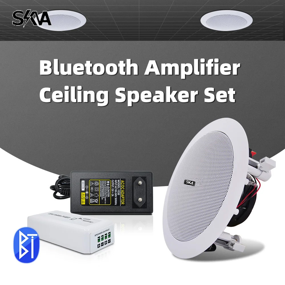 Bluetooth-Verstärker, tragbare – Portable Amplifier Mini Bewertung und Preis