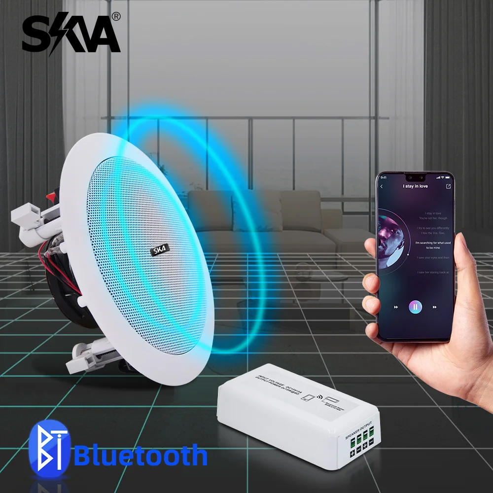 Bluetooth-Verstärker, tragbare – Portable Amplifier Mini Bewertung und Preis