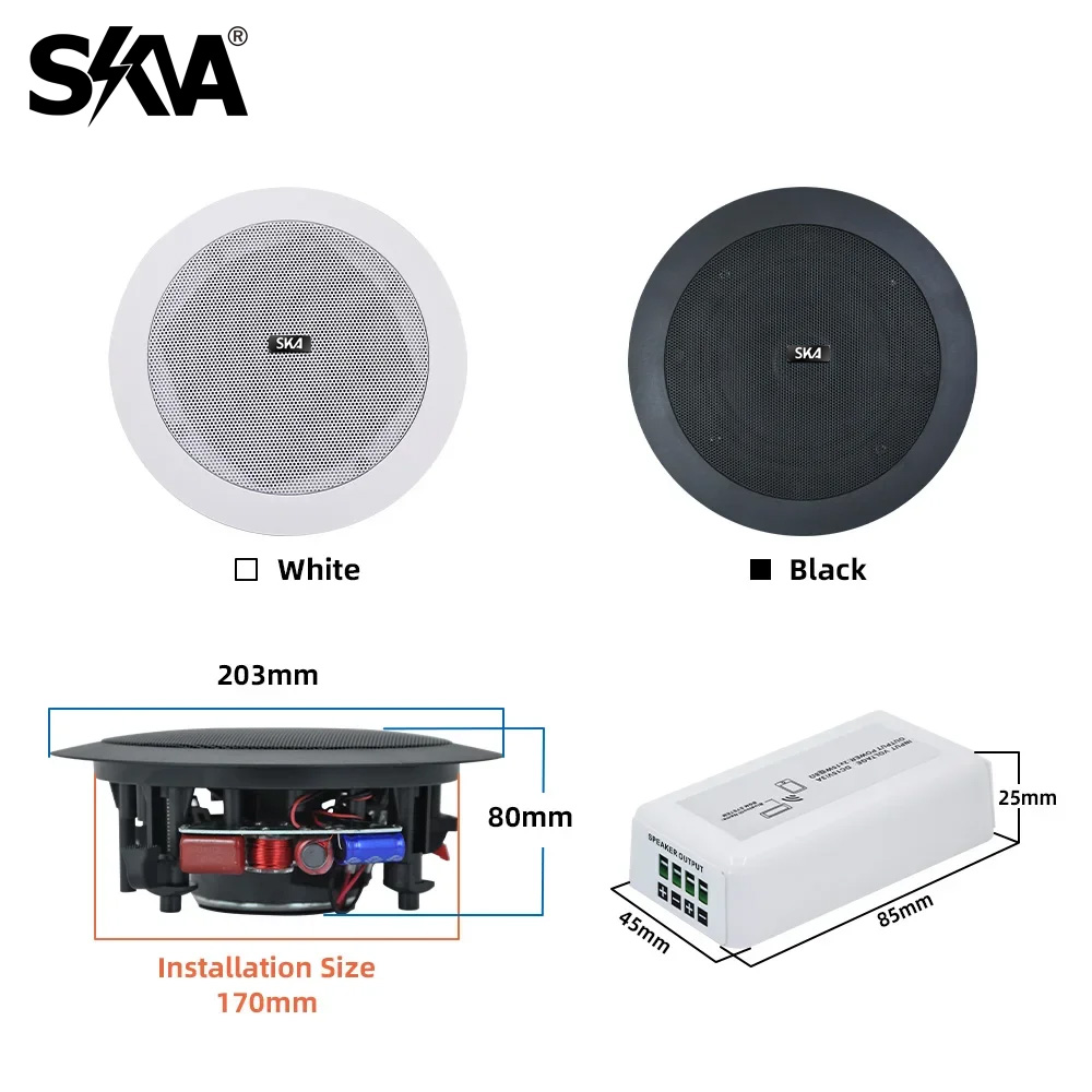 Bluetooth-Verstärker, tragbare – Portable Amplifier Mini Bewertung und Preis