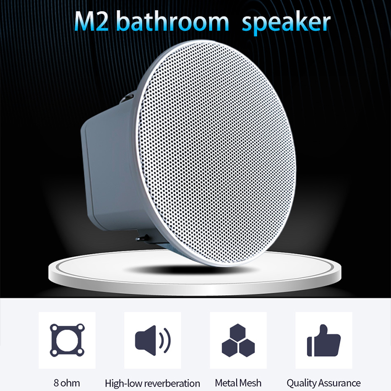2-Zoll Mini 8 Ohm Deckenlautsp – Audio Music Background Free Bewertung und Preis